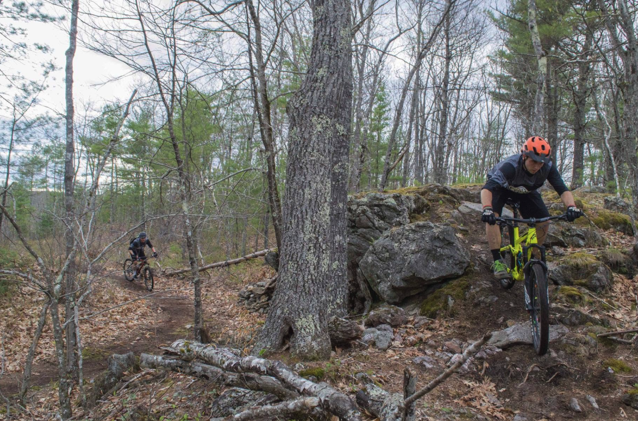 Two riders on a rocky mountain bike trail through the woods